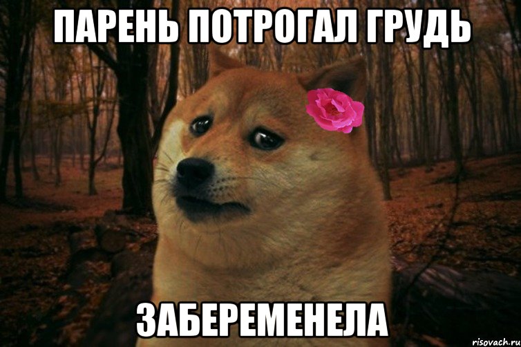 парень потрогал грудь забеременела, Мем  SAD DOGE GIRL