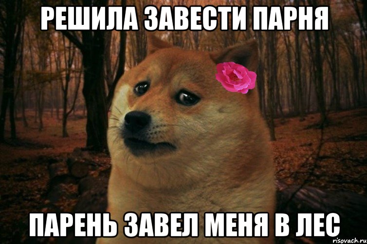 решила завести парня парень завел меня в лес, Мем  SAD DOGE GIRL