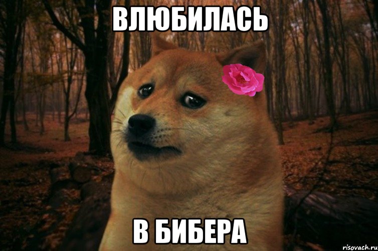 влюбилась в Бибера, Мем  SAD DOGE GIRL