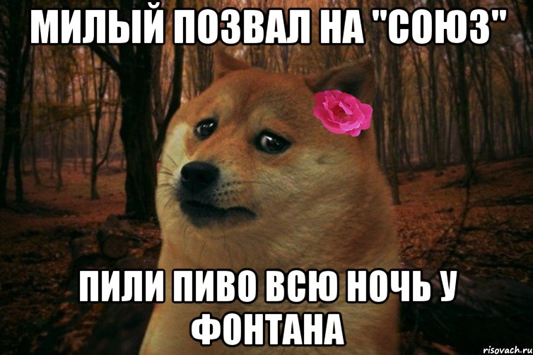 милый позвал на "Союз" пили пиво всю ночь у фонтана, Мем  SAD DOGE GIRL