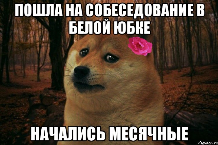 Пошла на собеседование в белой юбке Начались месячные, Мем  SAD DOGE GIRL