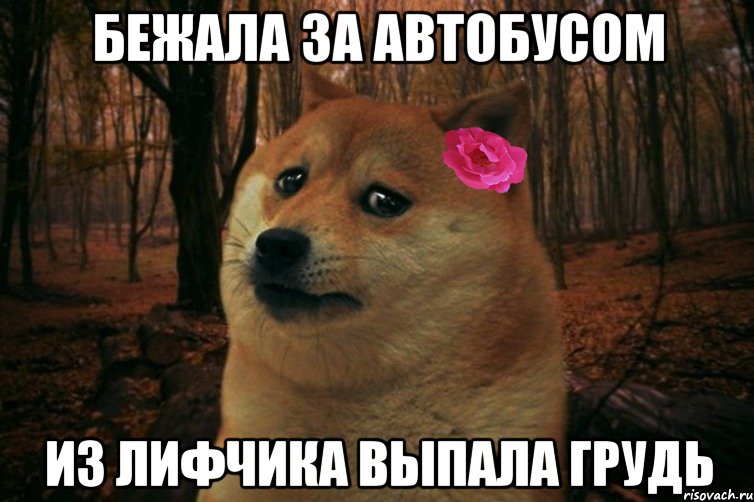 бежала за автобусом из лифчика выпала грудь, Мем  SAD DOGE GIRL