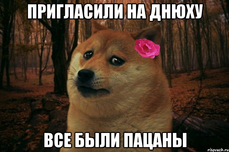 Пригласили на днюху Все были пацаны, Мем  SAD DOGE GIRL