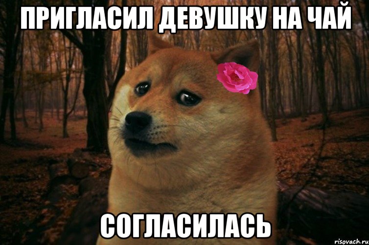 ПРИГЛАСИЛ ДЕВУШКУ НА ЧАЙ СОГЛАСИЛАСЬ, Мем  SAD DOGE GIRL