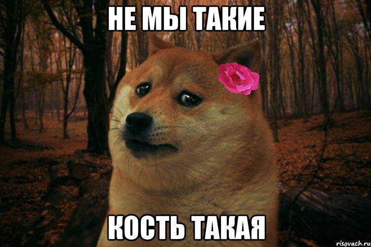 Не мы такие Кость такая