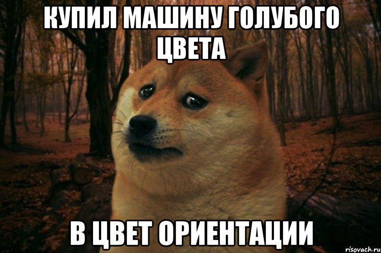 Купил машину голубого цвета В цвет ориентации, Мем SAD DOGE