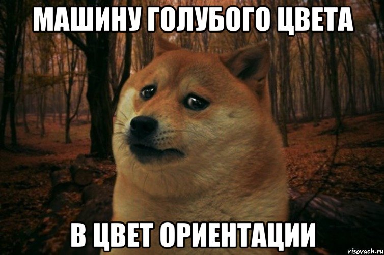 машину голубого цвета в цвет ориентации, Мем SAD DOGE