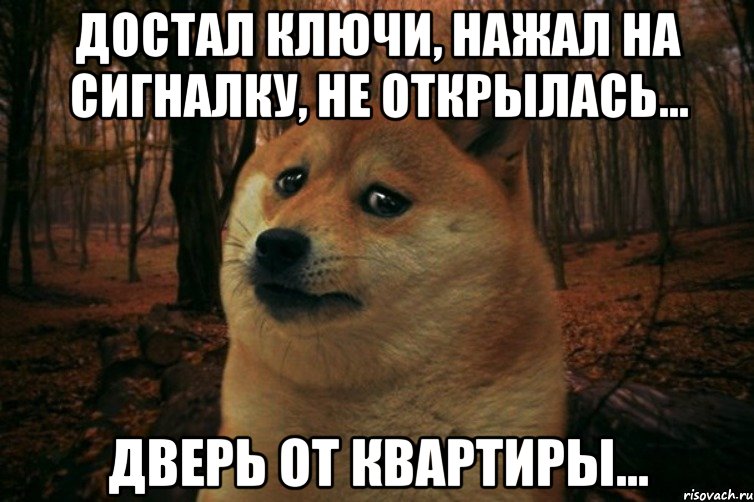 достал ключи, нажал на сигналку, не открылась... дверь от квартиры..., Мем SAD DOGE