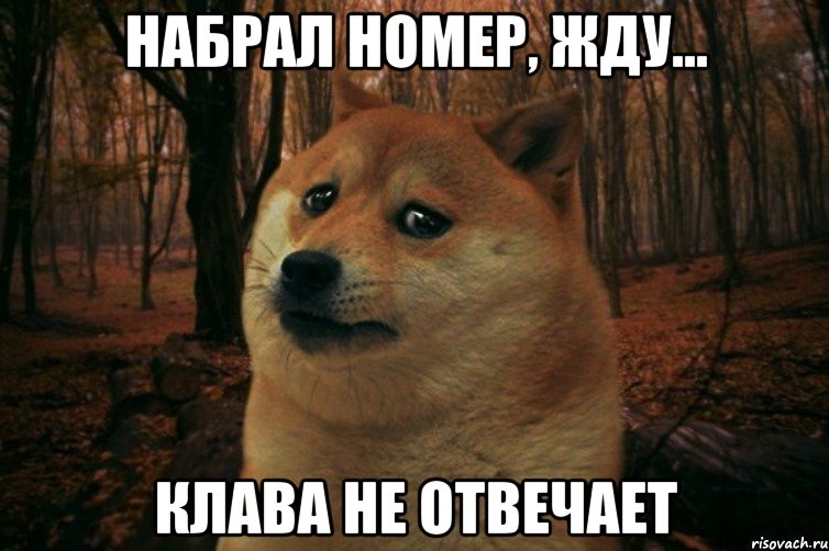 набрал номер, жду... клава не отвечает, Мем SAD DOGE