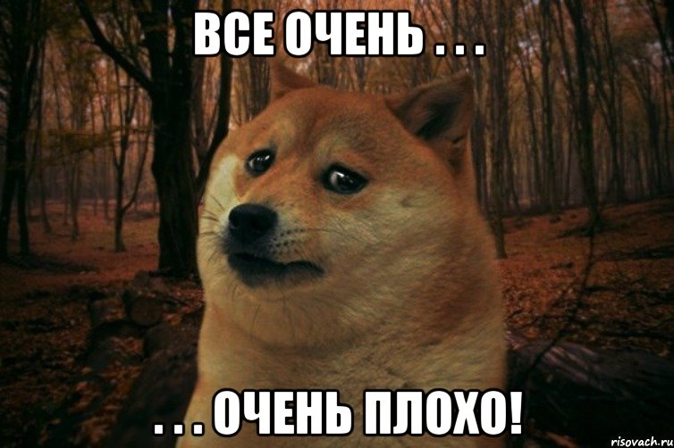 Все очень . . . . . . очень плохо!, Мем SAD DOGE