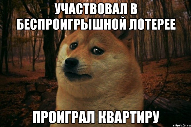 участвовал в беспроигрышной лотерее проиграл квартиру, Мем SAD DOGE