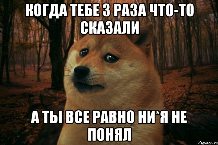 Когда тебе 3 раза что-то сказали а ты все равно ни*я не понял, Мем SAD DOGE