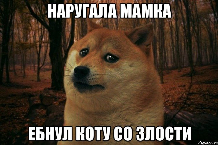 Наругала мамка ебнул коту со злости, Мем SAD DOGE