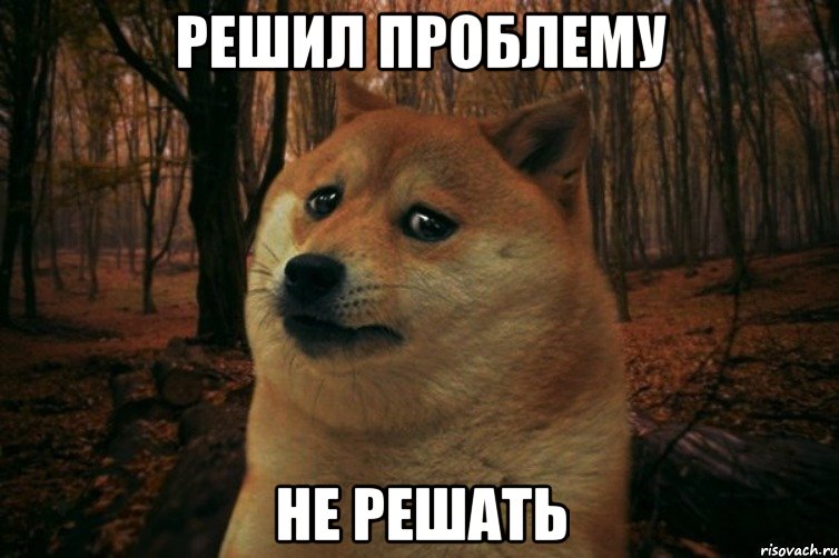 Решил проблему не решать, Мем SAD DOGE