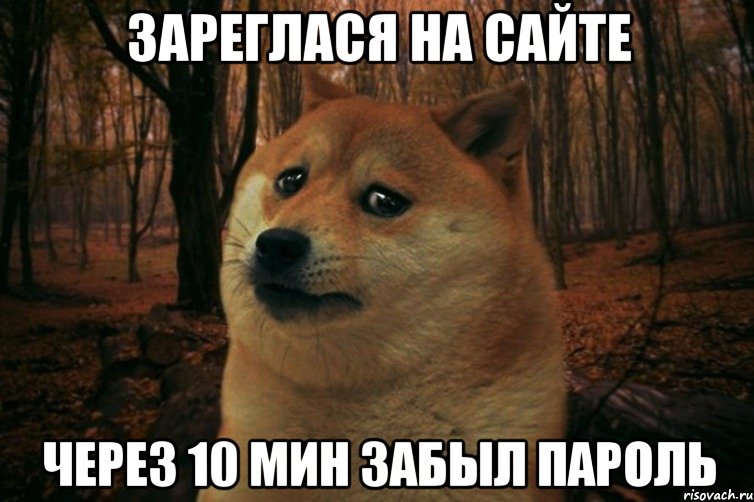 зареглася на сайте через 10 мин забыл пароль, Мем SAD DOGE