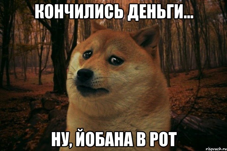 Кончились деньги... ну, йобана в рот, Мем SAD DOGE