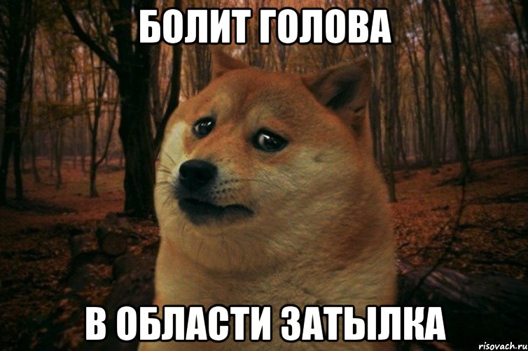 болит голова в области затылка, Мем SAD DOGE