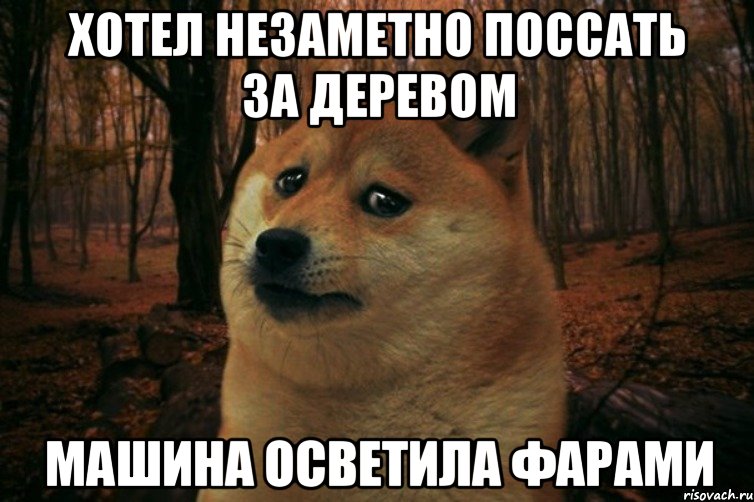 хотел незаметно поссать за деревом машина осветила фарами, Мем SAD DOGE