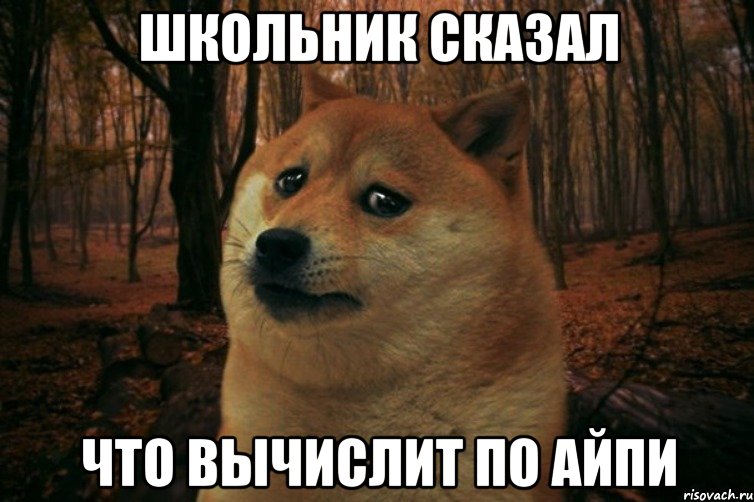 школьник сказал что вычислит по айпи, Мем SAD DOGE