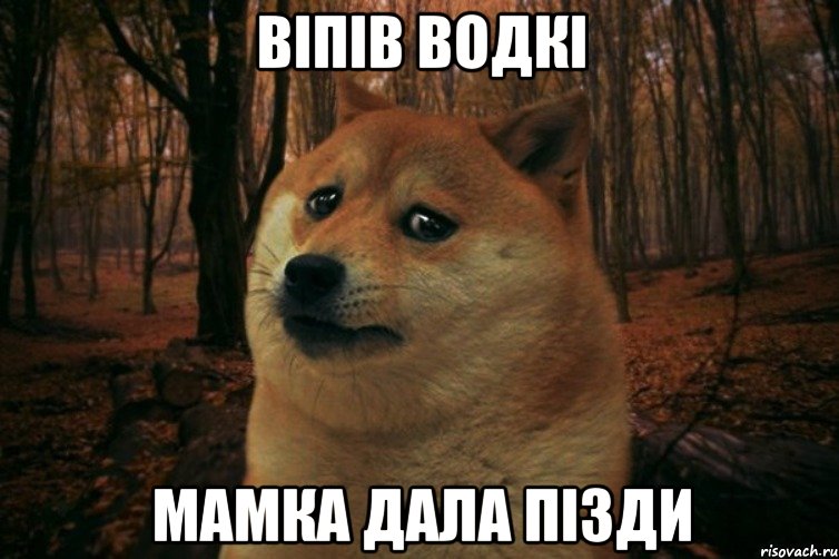 Віпів водкі мамка дала пізди, Мем SAD DOGE