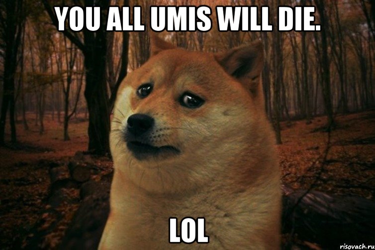 You all umis will die. lol, Мем SAD DOGE