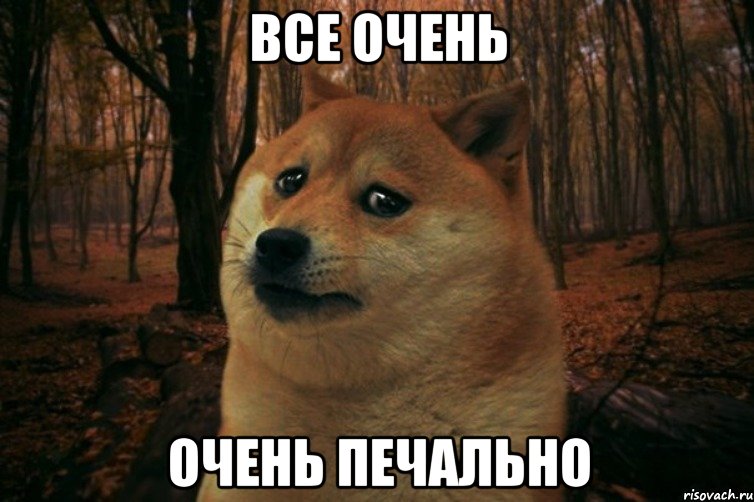 Все очень очень печально, Мем SAD DOGE