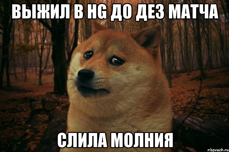 Выжил в HG ДО ДЕЗ МАТЧА Слила молния, Мем SAD DOGE