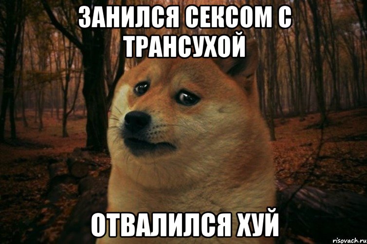 Занился сексом с трансухой Отвалился хуй, Мем SAD DOGE