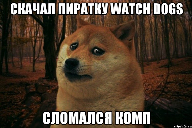 Скачал пиратку Watch Dogs Сломался комп, Мем SAD DOGE