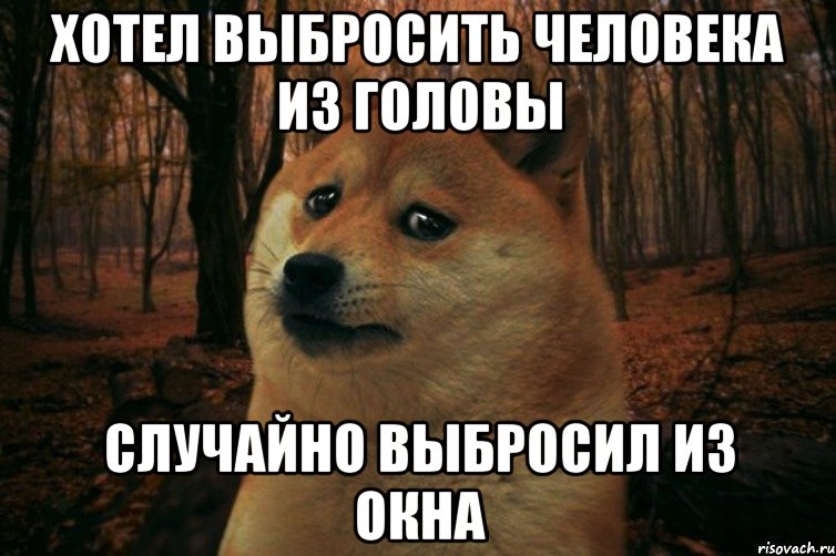 Хотел выбросить человека из головы Случайно выбросил из окна, Мем SAD DOGE