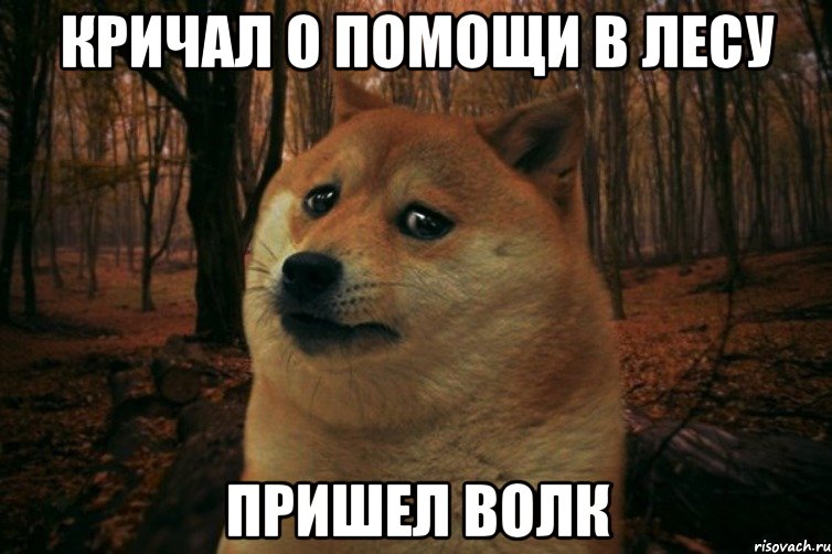 Кричал о помощи в лесу пришел волк, Мем SAD DOGE