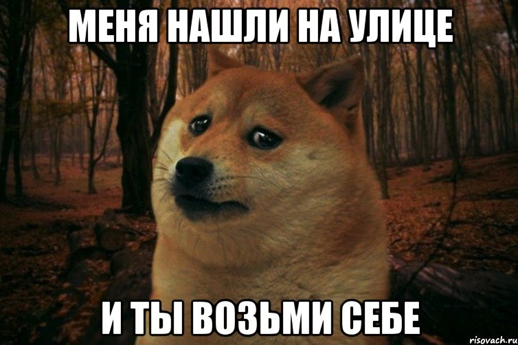 меня нашли на улице и ты возьми себе, Мем SAD DOGE