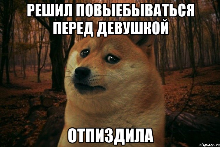 решил повыебываться перед девушкой отпиздила, Мем SAD DOGE