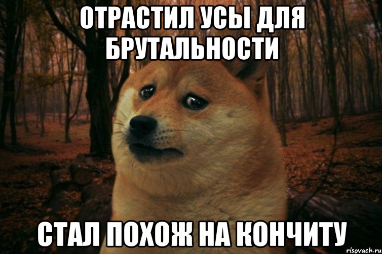 Отрастил усы для брутальности Стал похож на Кончиту, Мем SAD DOGE