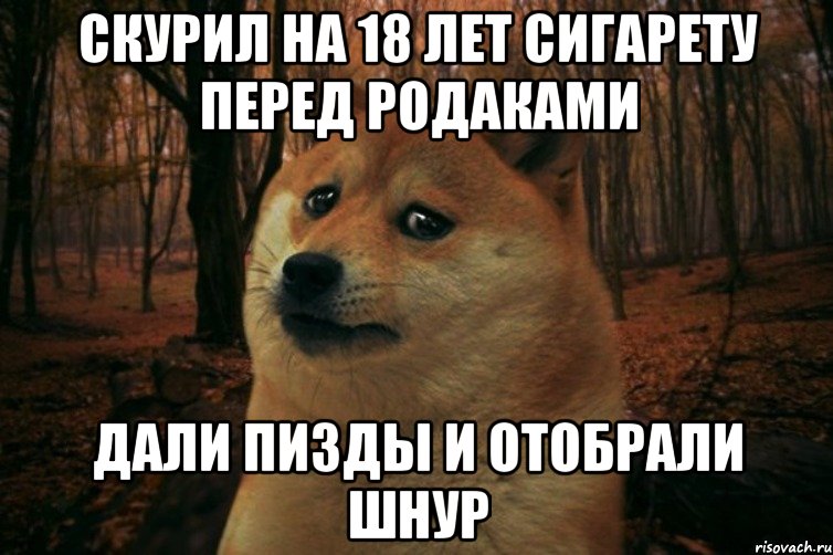 Скурил на 18 лет сигарету перед родаками Дали пизды и отобрали шнур, Мем SAD DOGE