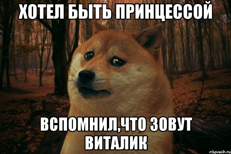 Хотел быть принцессой Вспомнил,что зовут Виталик, Мем SAD DOGE