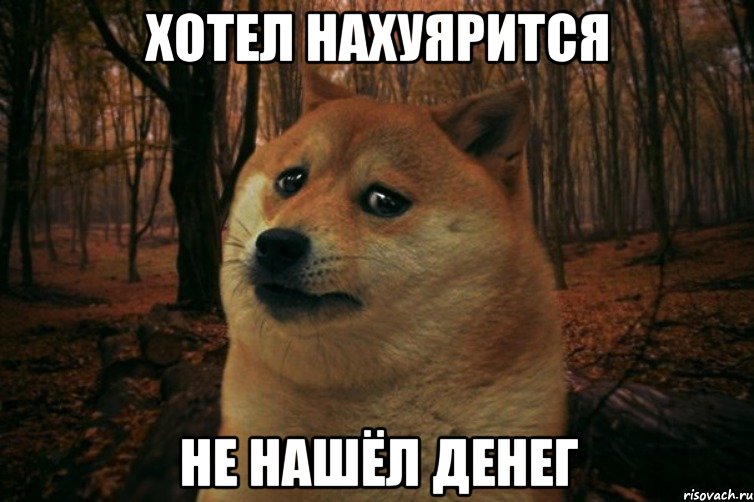 Хотел нахуярится НЕ НАШЁЛ ДЕНЕГ, Мем SAD DOGE