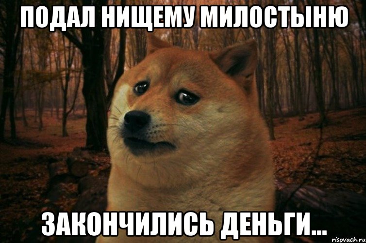 подал нищему милостыню закончились деньги..., Мем SAD DOGE