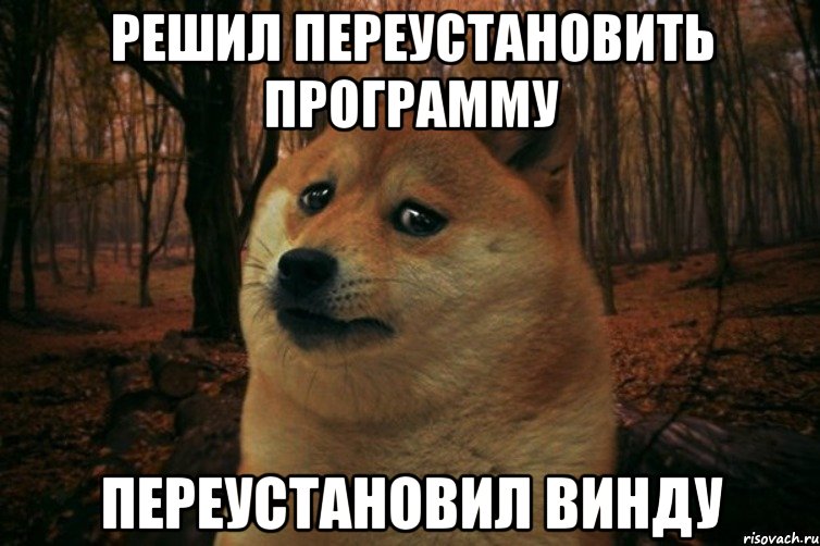 решил переустановить программу переустановил винду, Мем SAD DOGE