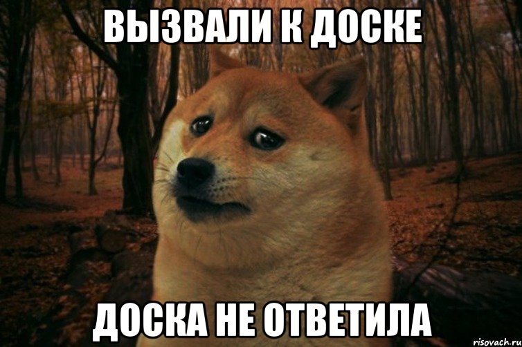 вызвали к доске доска не ответила, Мем SAD DOGE