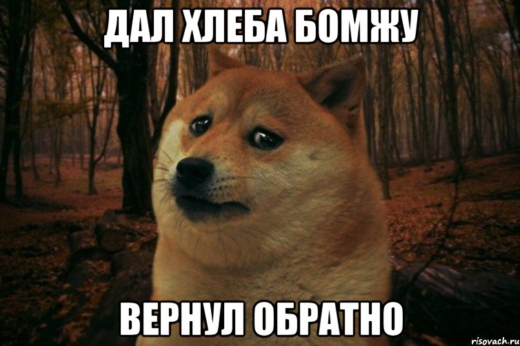 ДАЛ ХЛЕБА БОМЖУ ВЕРНУЛ ОБРАТНО, Мем SAD DOGE