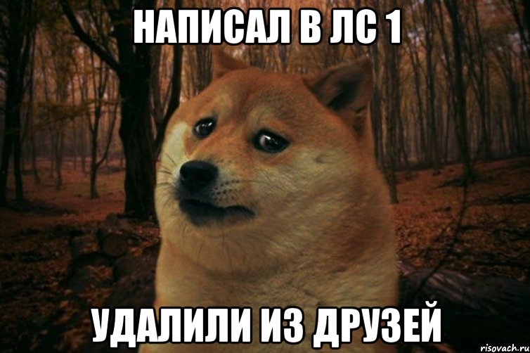 написал в лс 1 удалили из друзей, Мем SAD DOGE