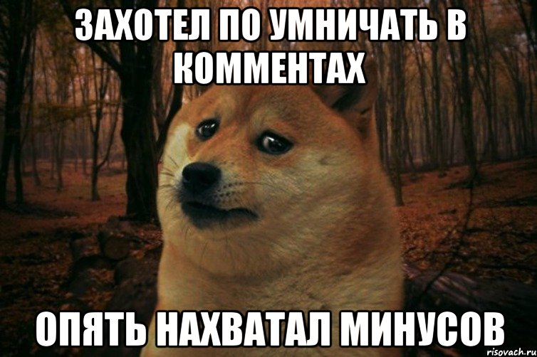 Захотел по умничать в комментах опять нахватал минусов, Мем SAD DOGE