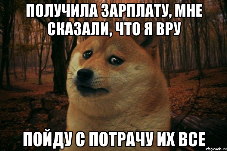 Получила зарплату, мне сказали, что я вру пойду с потрачу их все, Мем SAD DOGE