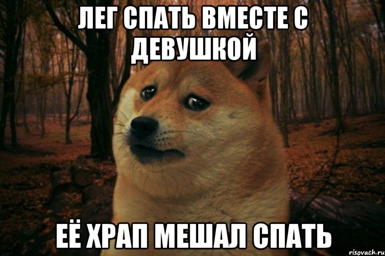 лег спать вместе с девушкой её храп мешал спать, Мем SAD DOGE