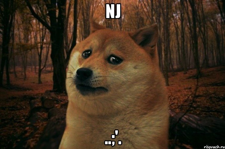 nj ..;'., Мем SAD DOGE