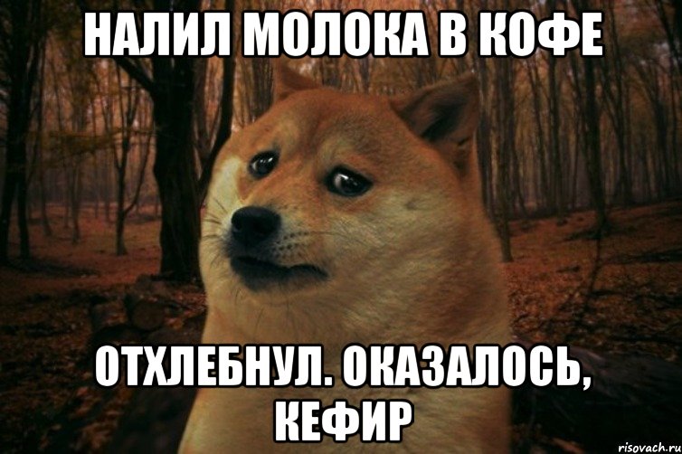 Налил молока в кофе Отхлебнул. Оказалось, кефир, Мем SAD DOGE