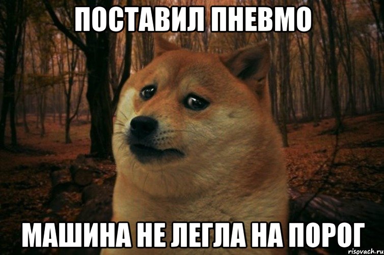 Поставил Пневмо Машина не легла на порог, Мем SAD DOGE