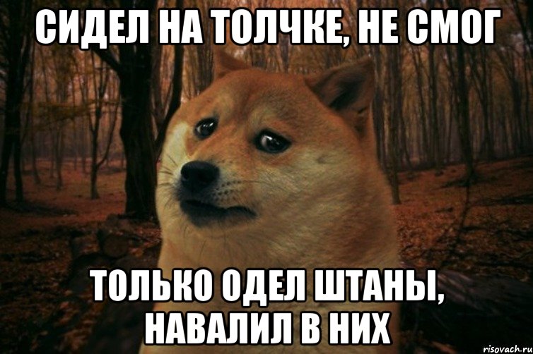 Сидел на толчке, не смог Только одел штаны, навалил в них, Мем SAD DOGE