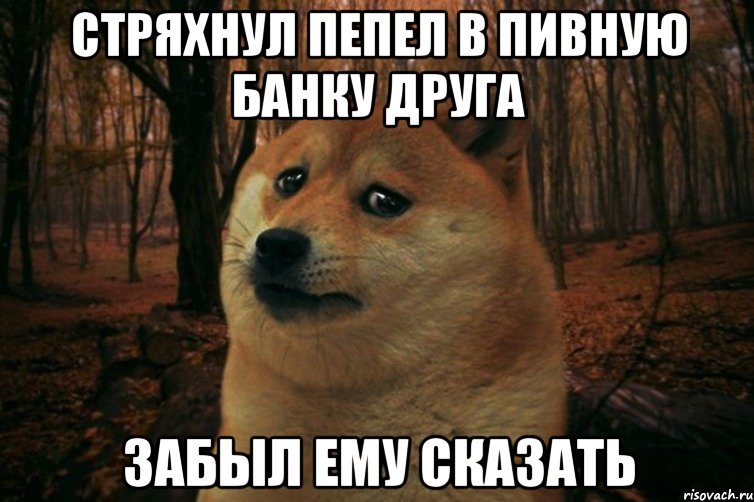 Стряхнул пепел в пивную банку друга Забыл ему сказать, Мем SAD DOGE